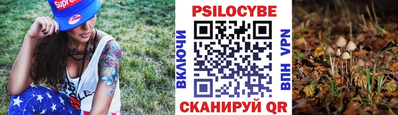 Купить закладки  Старый Крым  Псилоцибиновые грибы прущие грибы 